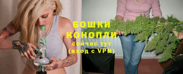 mdpv Богородск
